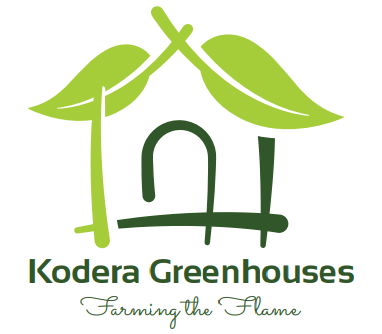 Kodera Greenhouses Logo